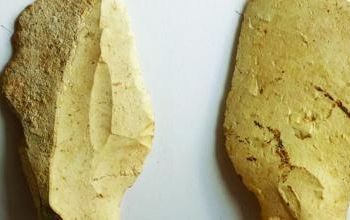 Un vecino encuentra por casualidad un cuchillo de unos 9.000 años de antigüedad en Villena (Alicante)