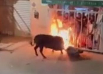 Cuatro muertos en fiestas populares de la Comunitat Valenciana