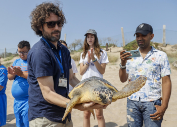 La campaña “Tortugas en el Mediterráneo” se amplía a Andalucía