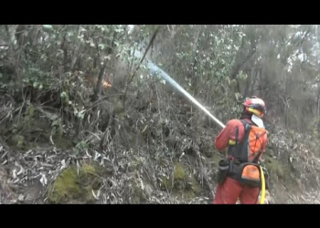 El fuego en Tenerife arrasa 10.000 hectáreas y podría estabilizarse en su punto de origen