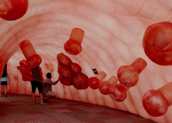 La IA aún no mejora el diagnóstico del cáncer colorrectal, según un estudio